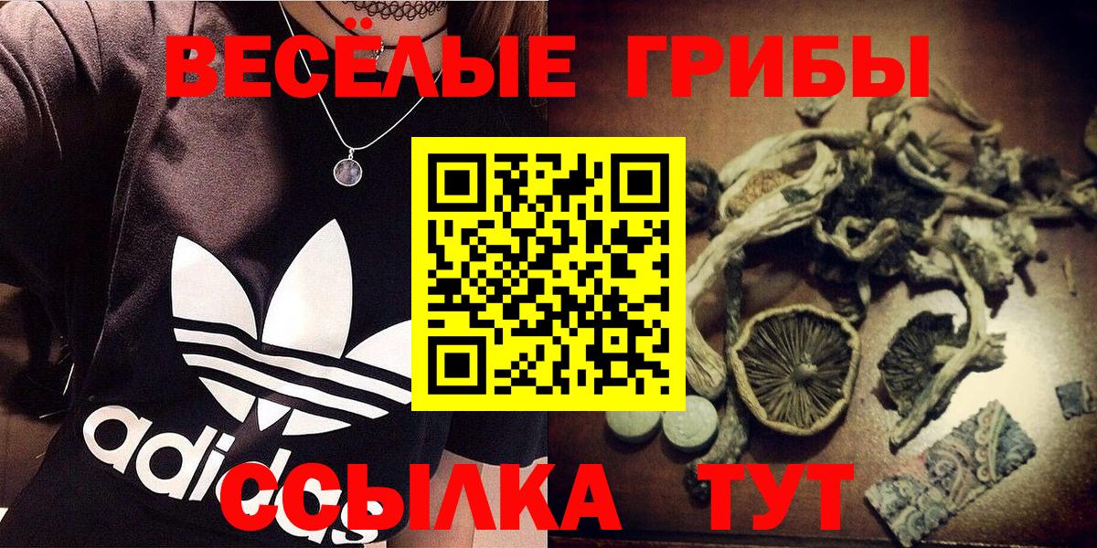 Псилоцибиновые грибы Psilocybe  Псилоцибиновые грибы мухоморы  Переславль-Залесский  цены   Вход с VPN 
