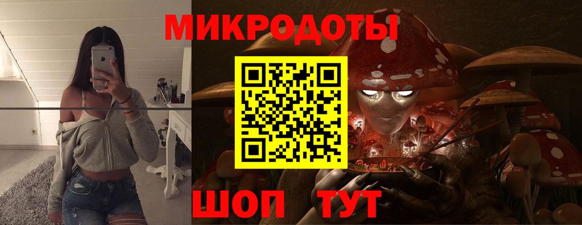 Псилоцибиновые грибы Cubensis Переславль-Залесский